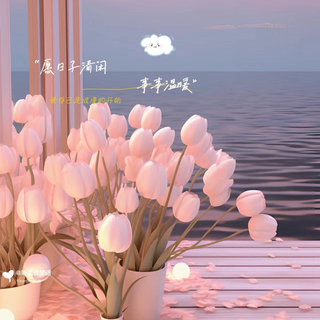韩Cc