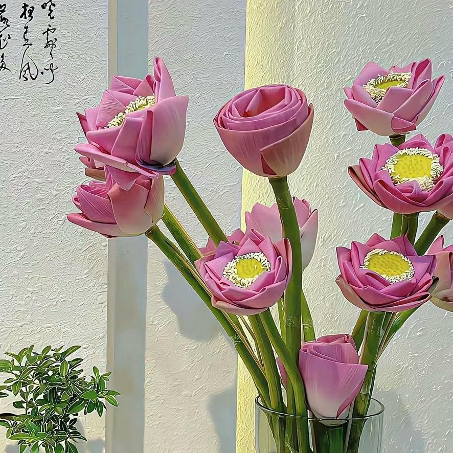 屿。