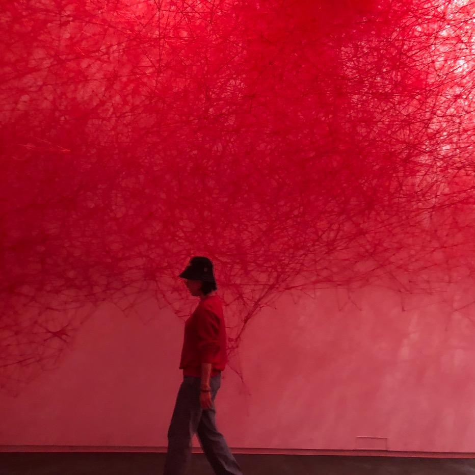 荒草地准备发芽