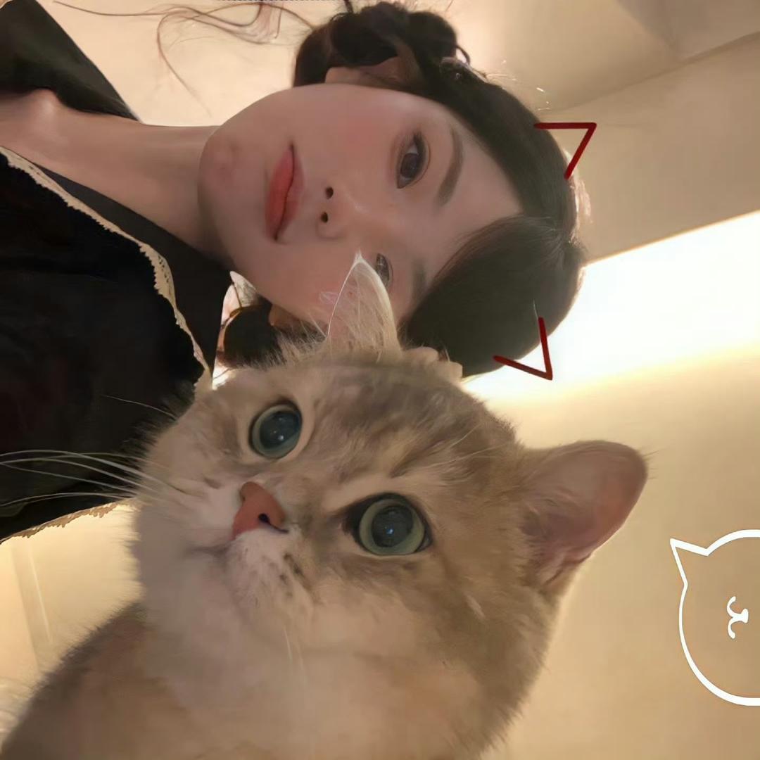 高冷kt猫.