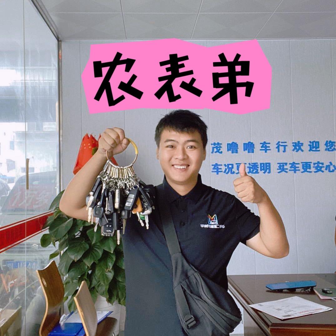 农表弟平果茂噜噜二手车