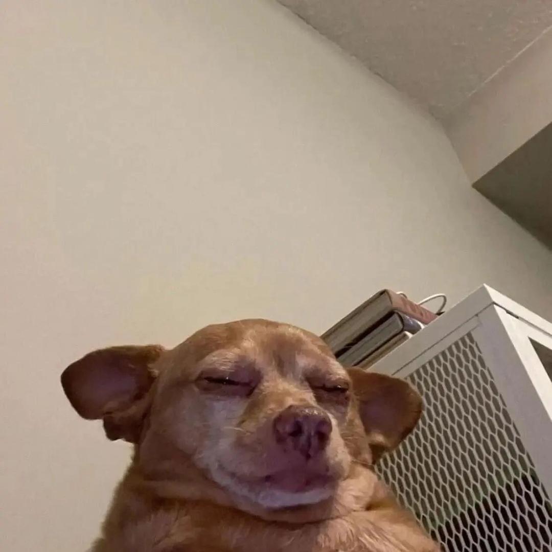 25.