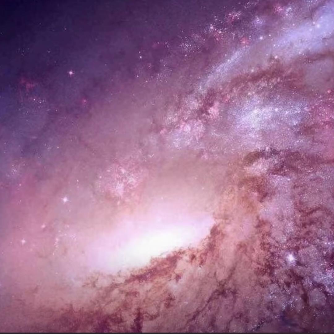 我的头像是白板.