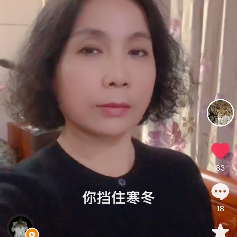 琴