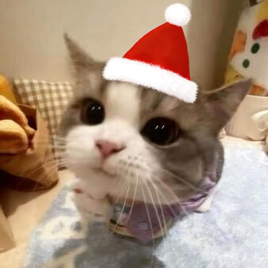 NCC大王