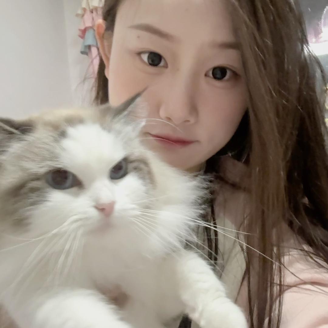洋葱圈🧅