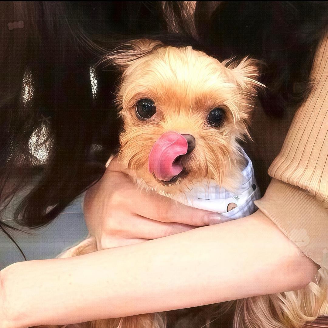 要记得开心