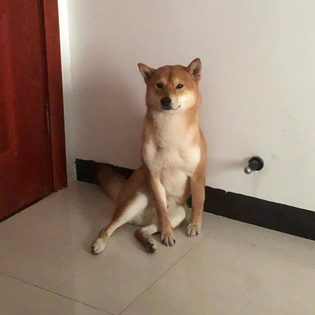柴西西