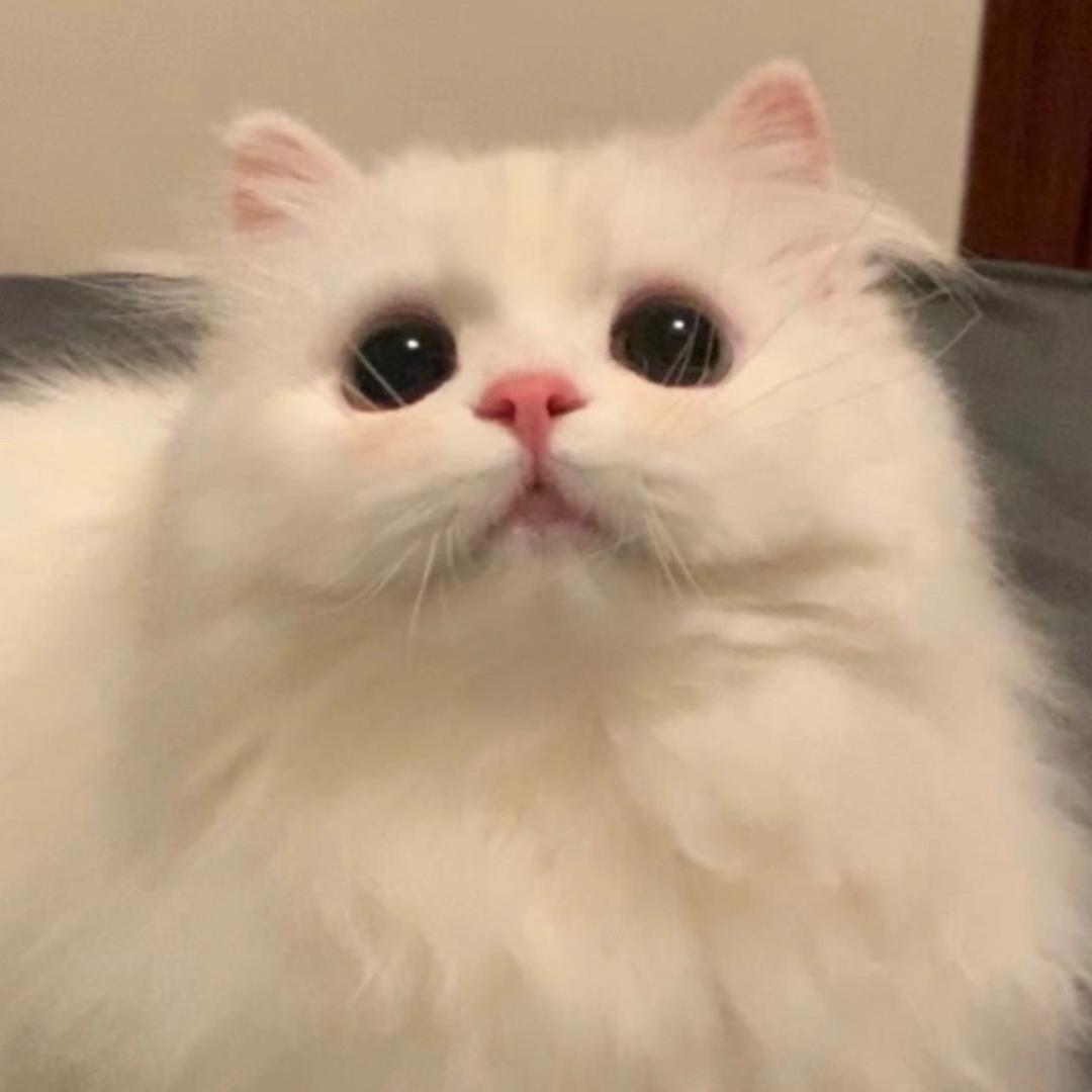 𝙔ᐝ