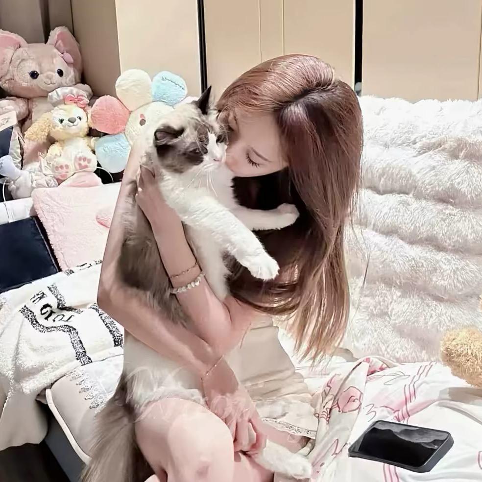 夜猫子