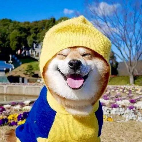 小小萌宠✨