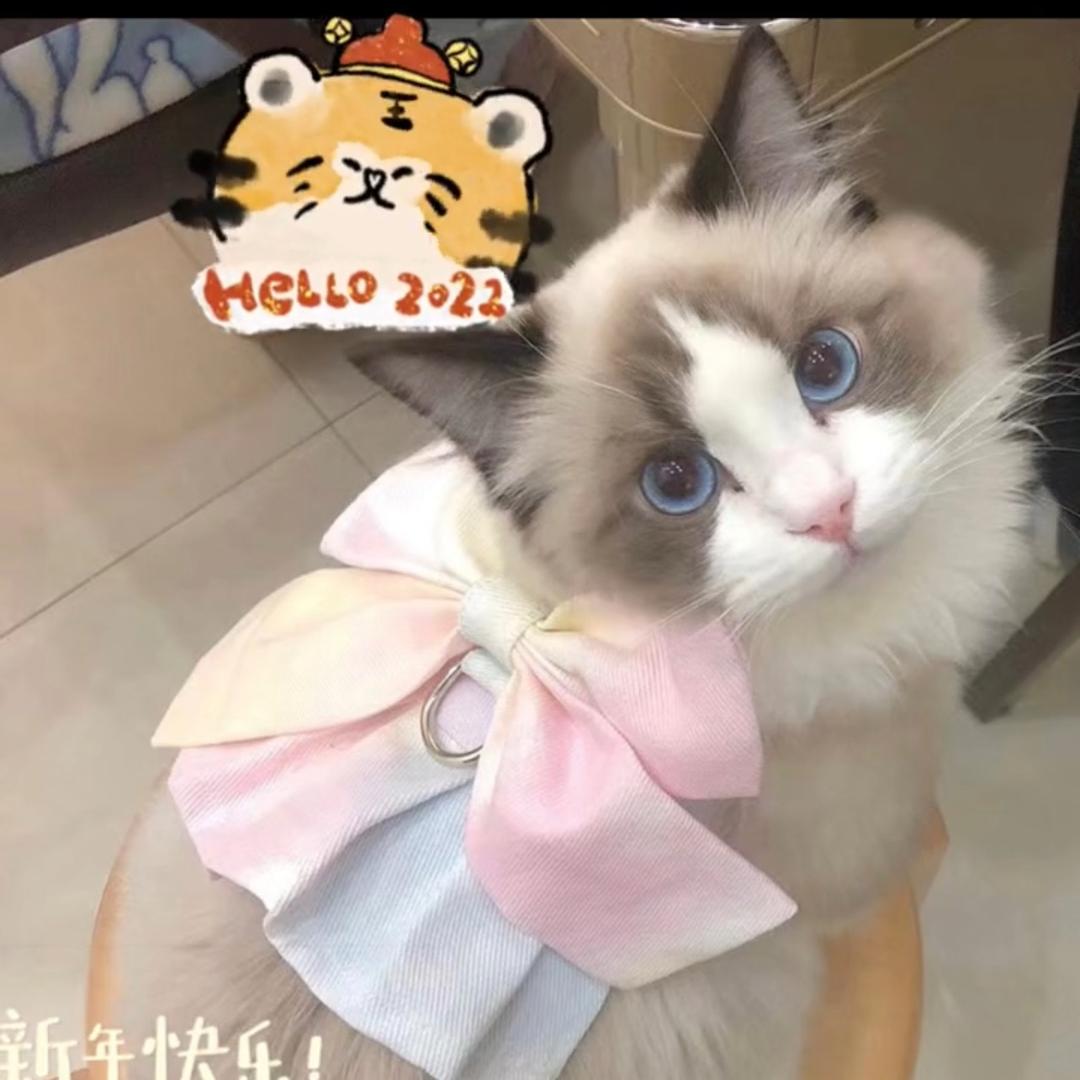 旺旺小仙