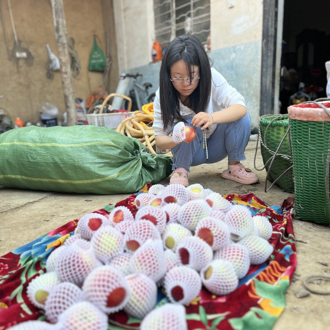 云南昭通小沈家果园