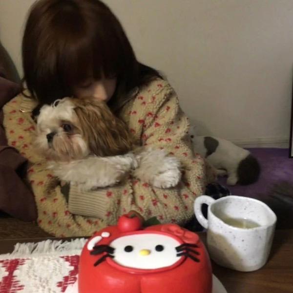 momoᥫᩣ.头像