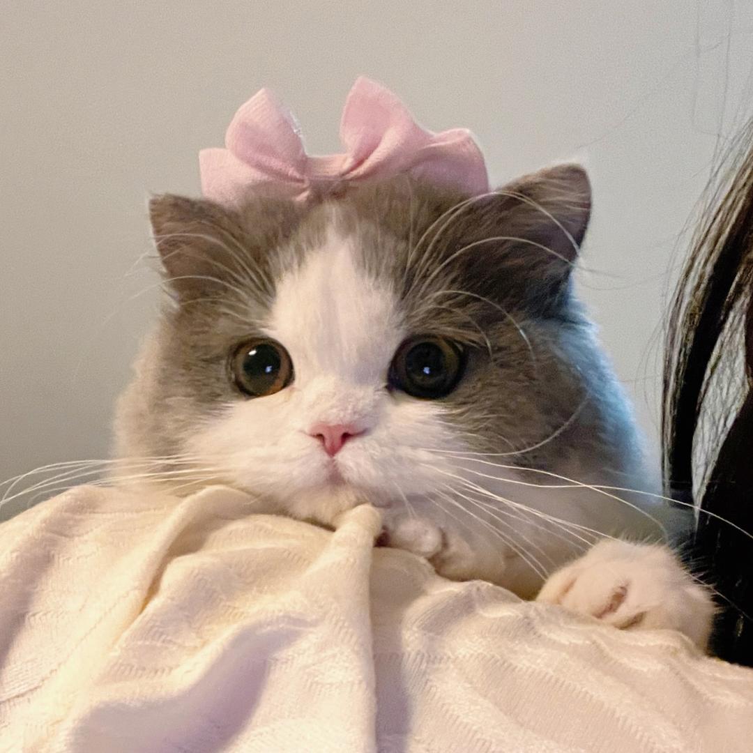 是甜口的鸭蛋@抖音