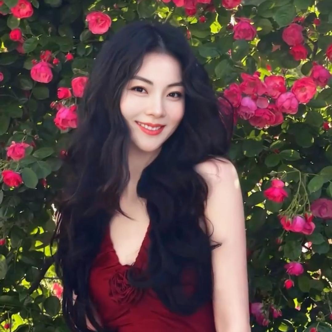 小刘涛👑