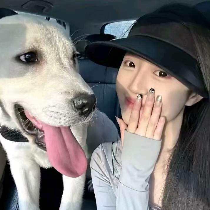 上郡梧桐里🍇.