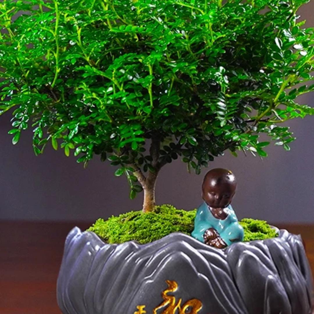 活着是起点，前方路很长，要走好每一步