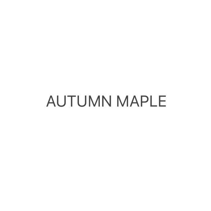 AUTUMN MAPLE 秋枫