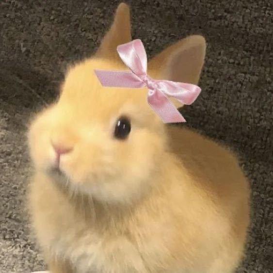 𝙕ᐝ