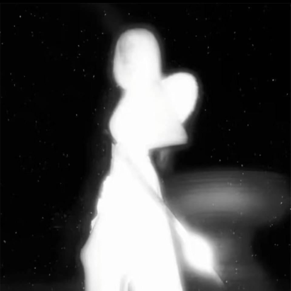 一颗.