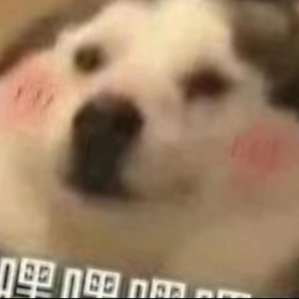 小稚(厦门月老)