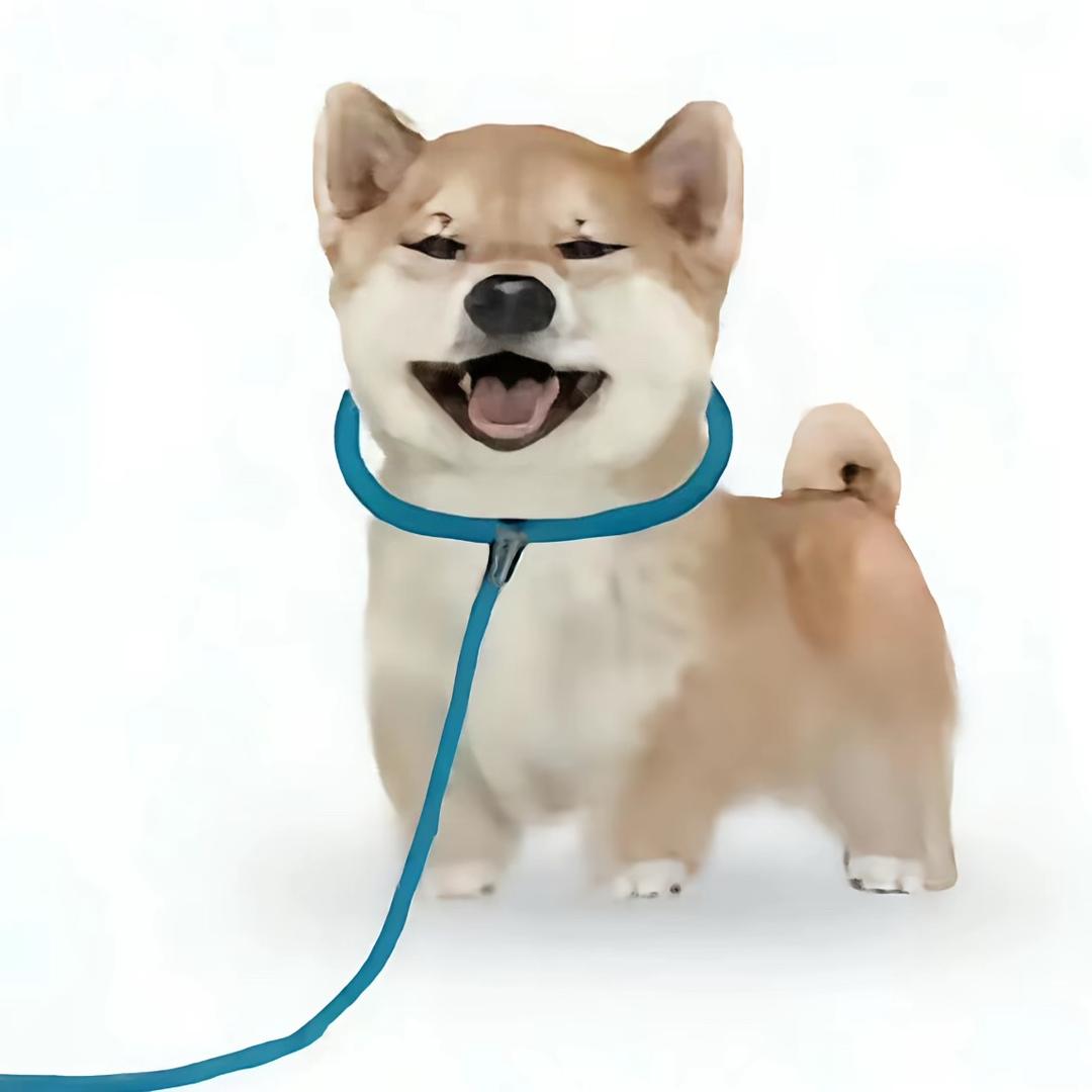 Hlh
