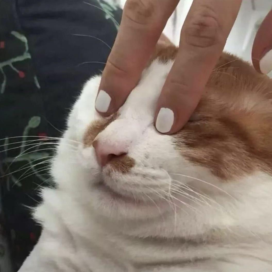 就很烦