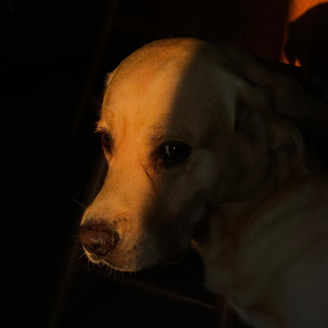 JO