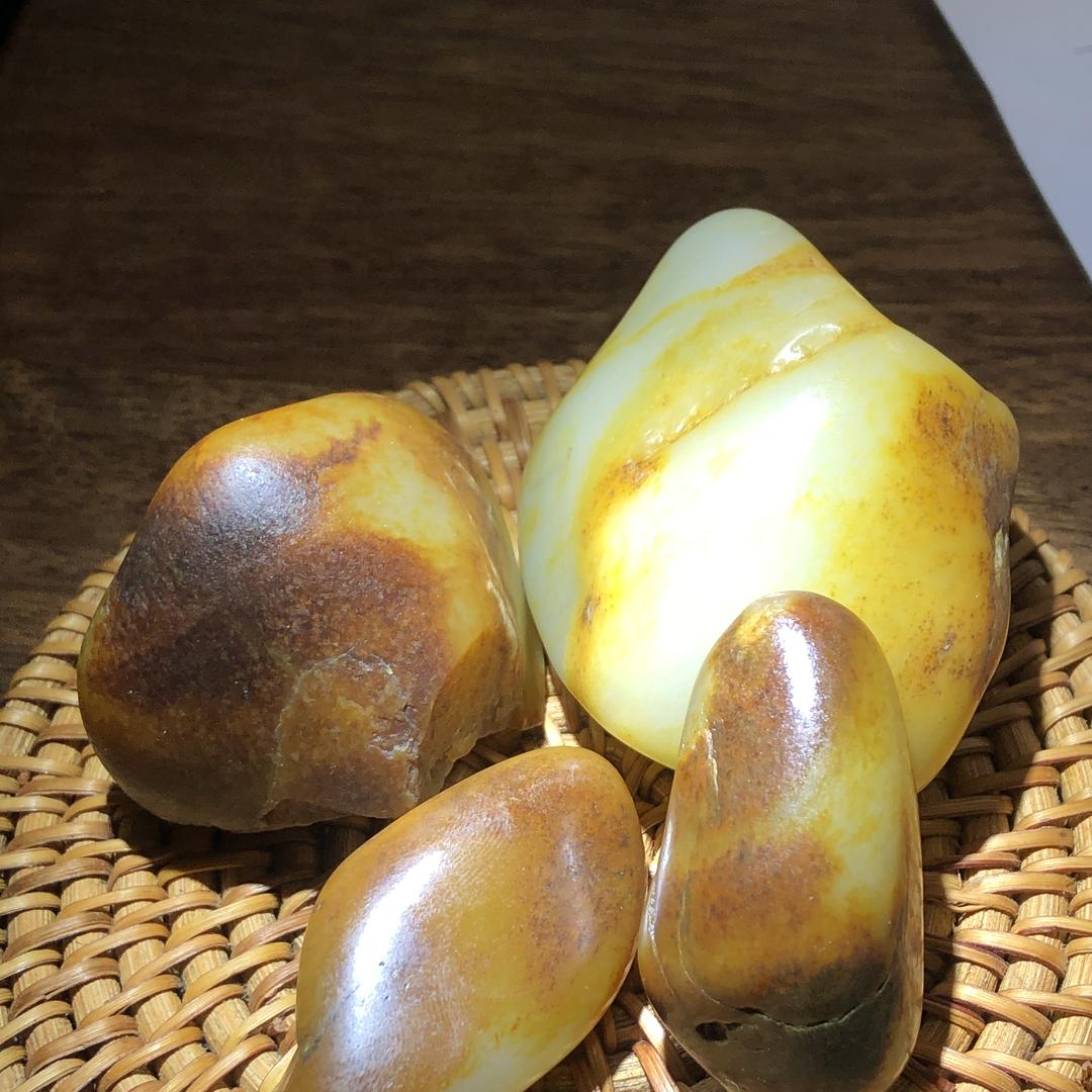 兰兰籽玉