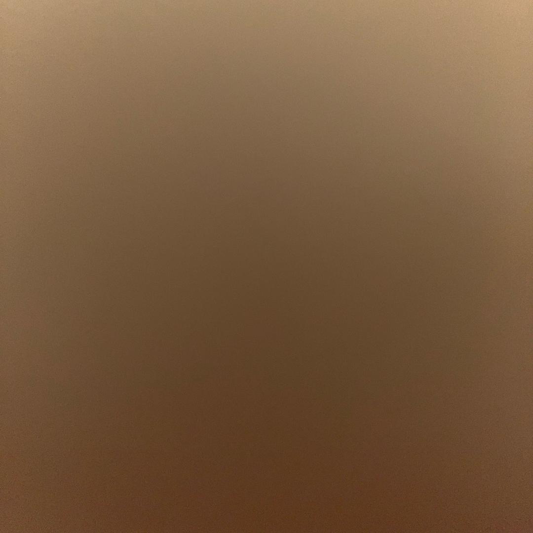 燕子1313