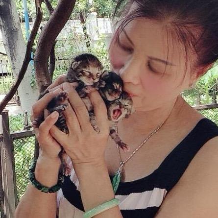 布偶大甩尾🐱🐶