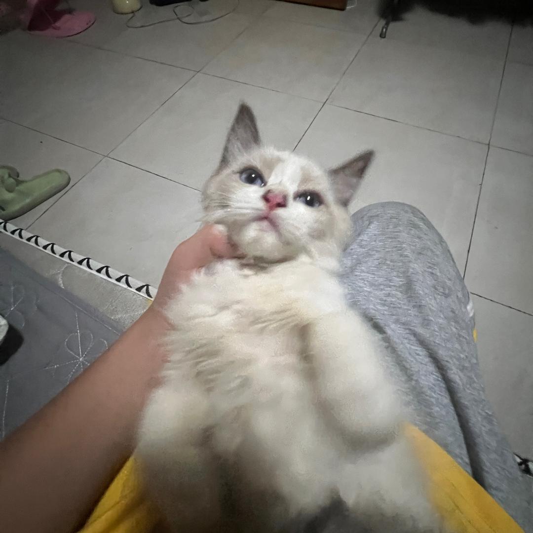 黄小皓