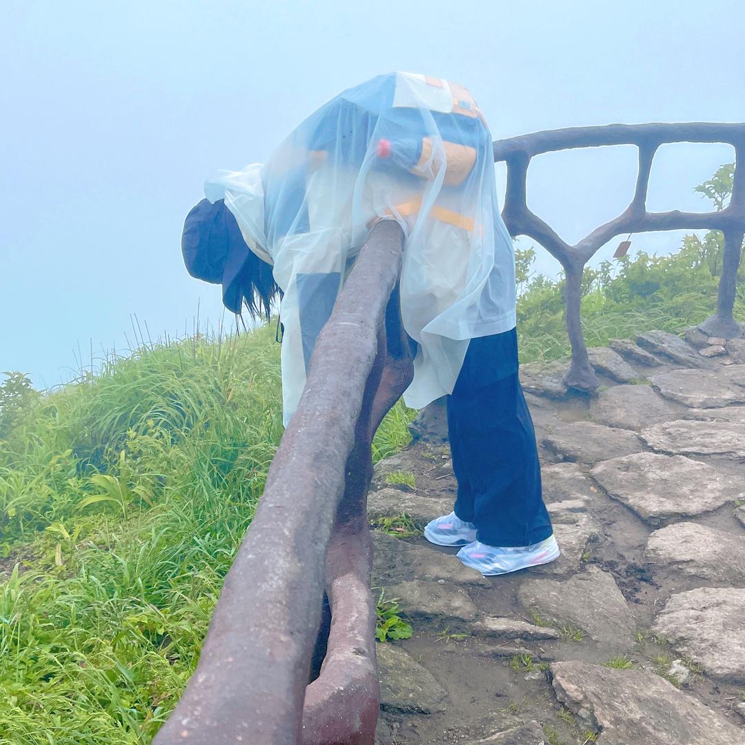 叶子爱吃鱼🐟
