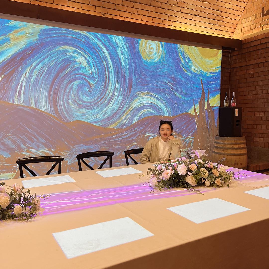 河北飞扬名车—瑞