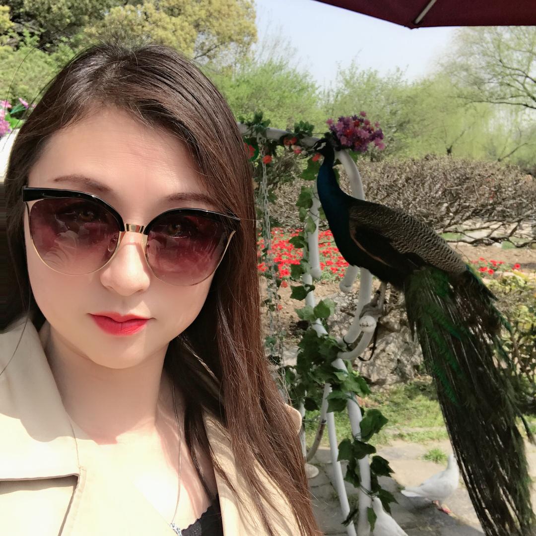 彩虹羽翼