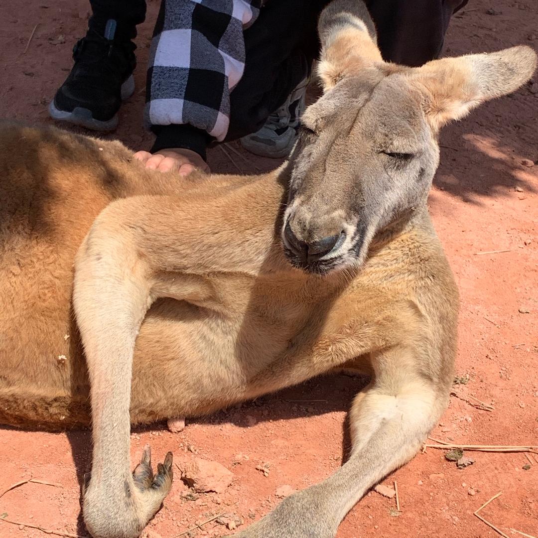 AAA嘴角那一抹苦涩