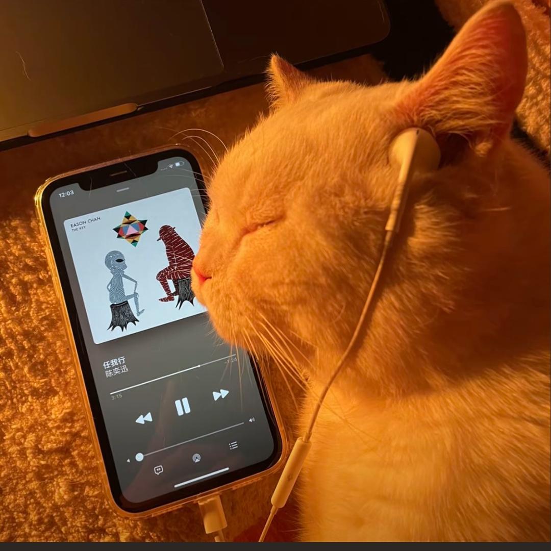 卡布奇诺玫瑰花.