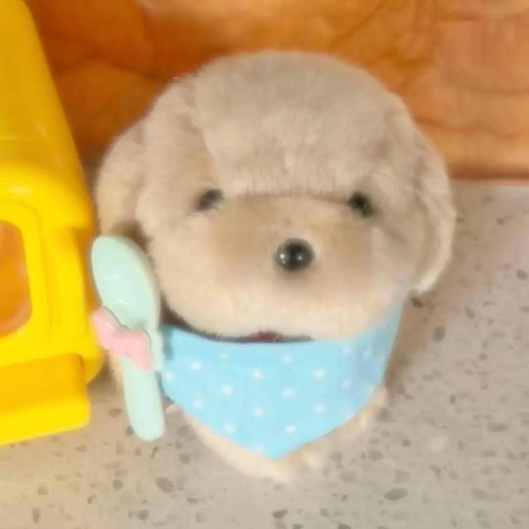 二十二”