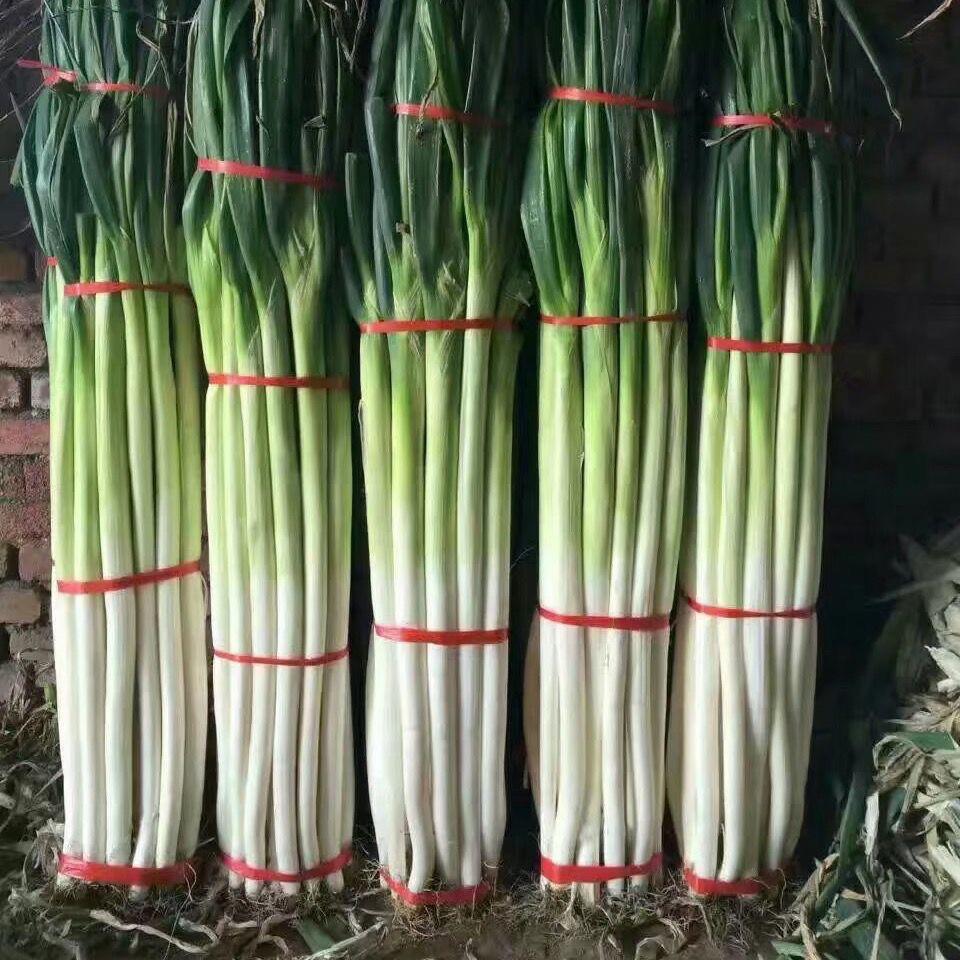 章丘土特产01店