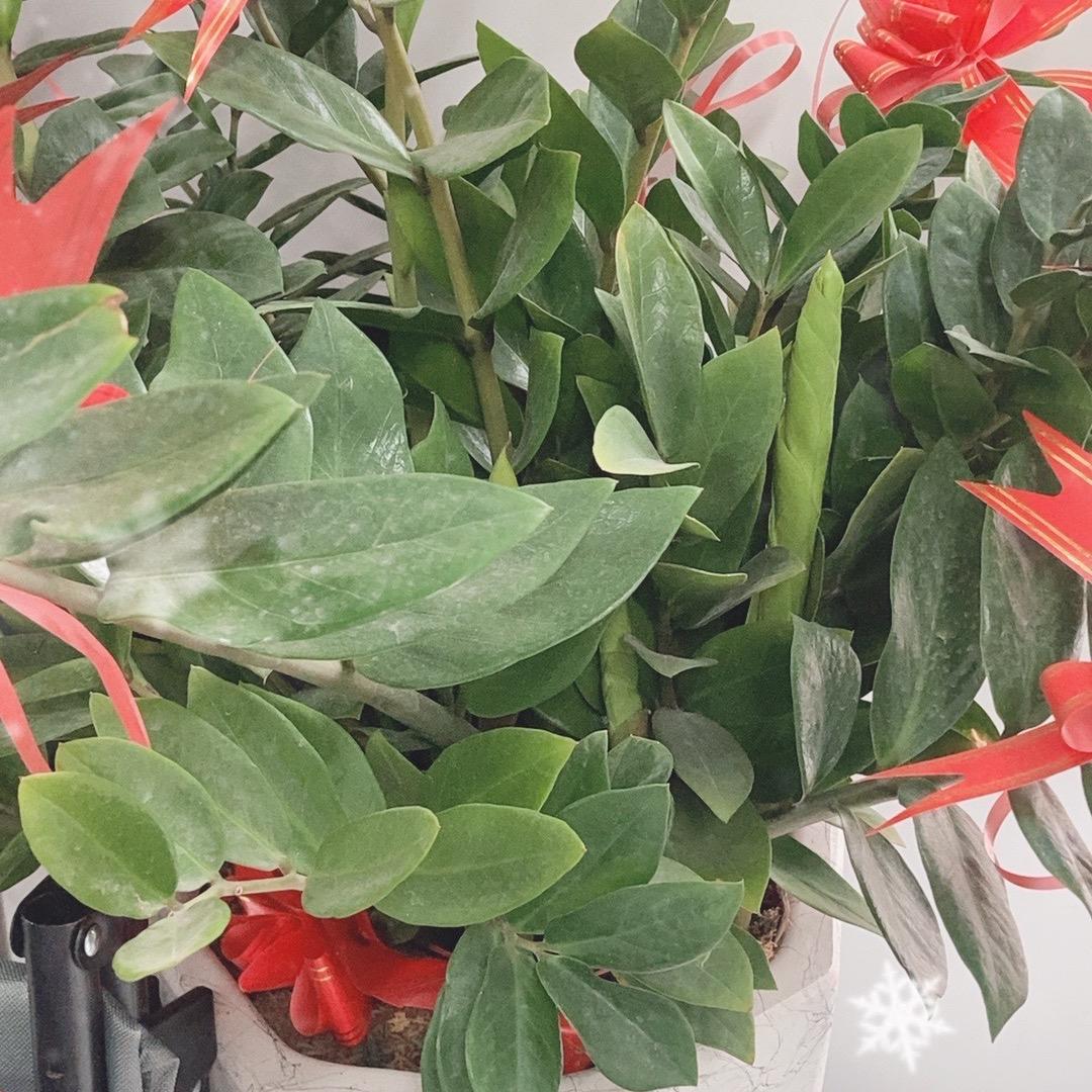 桦桦爱分享