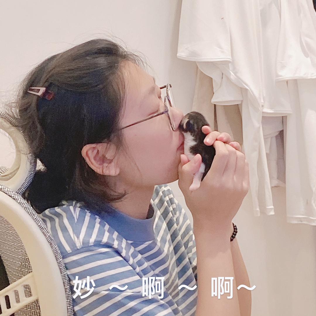 一只李阿姨
