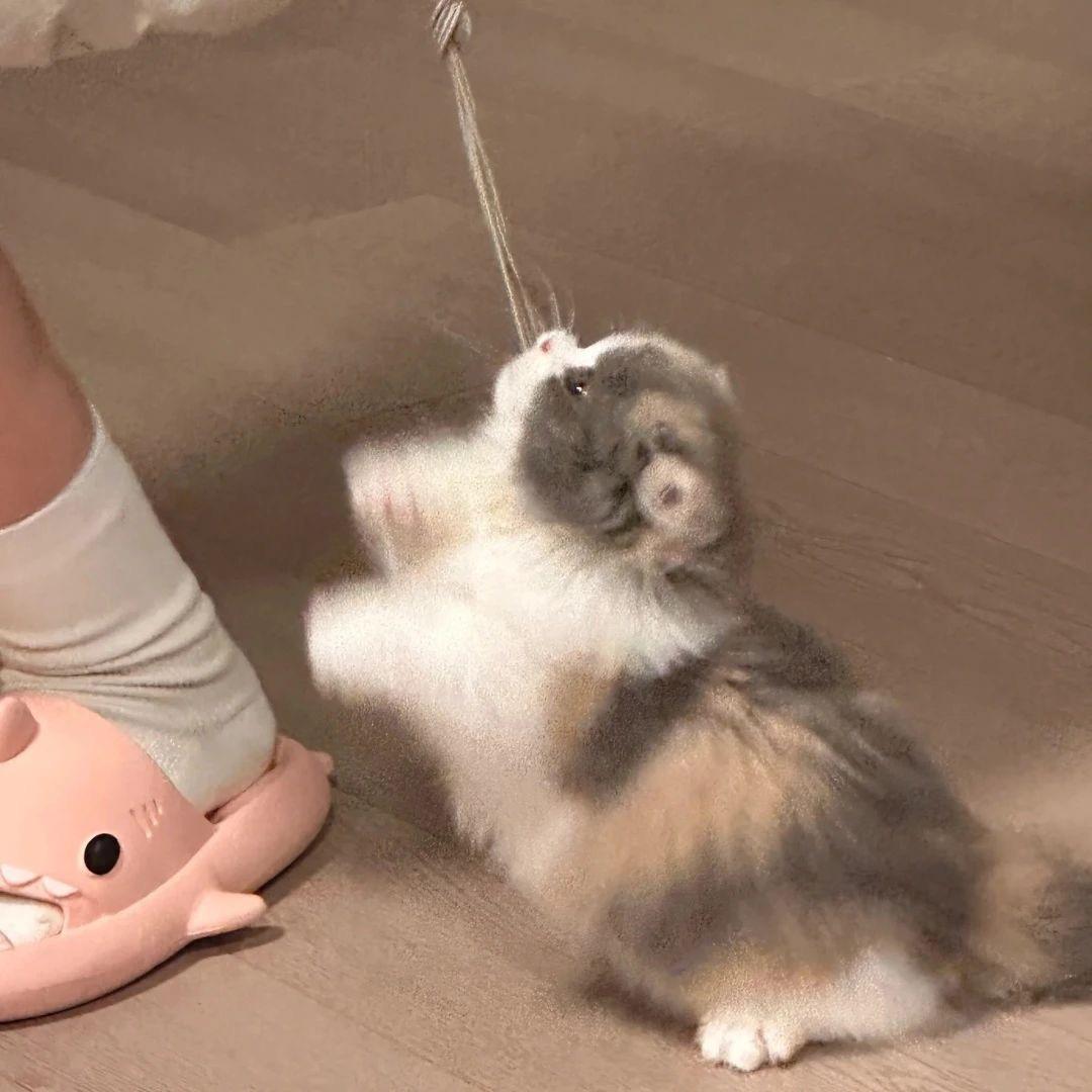 莹莹呀