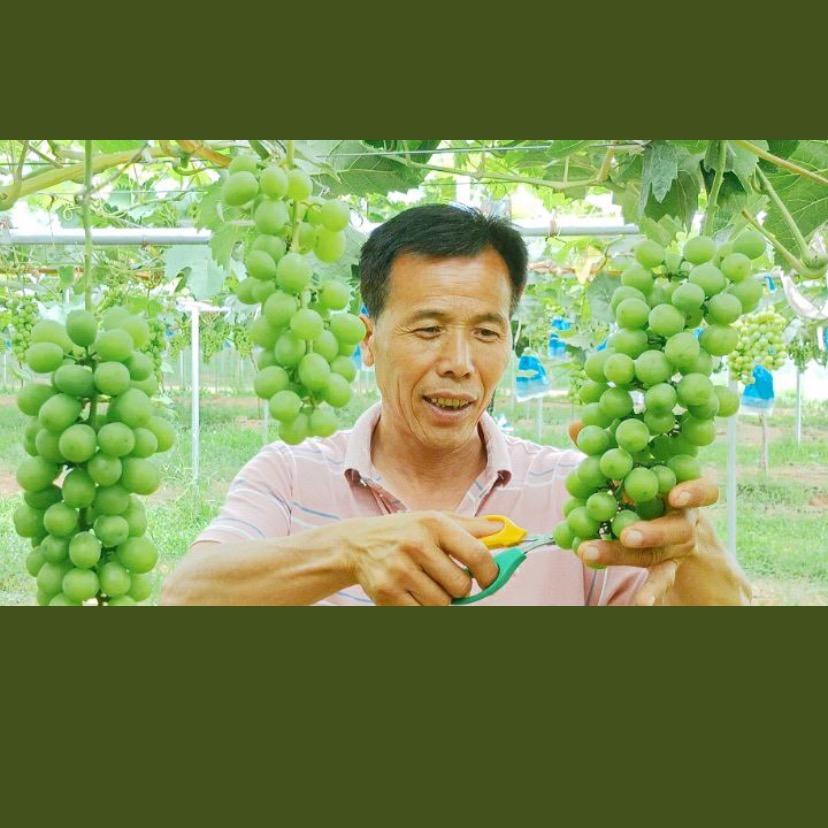 咸阳秋之缘休闲农场有限公司