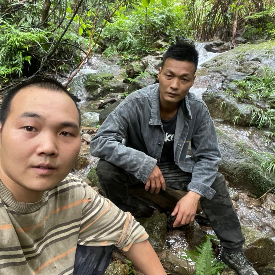 阿聪的乡村生活