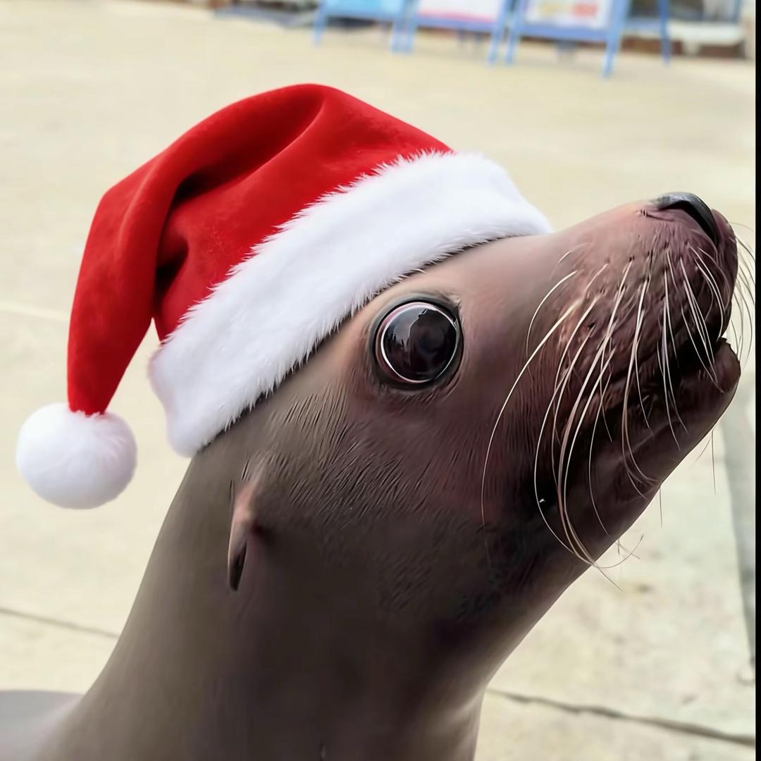 老板给我拿俩包子