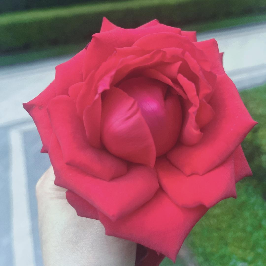 今安