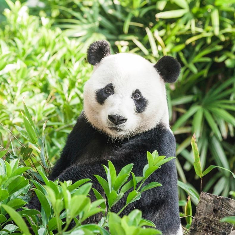 一两创意