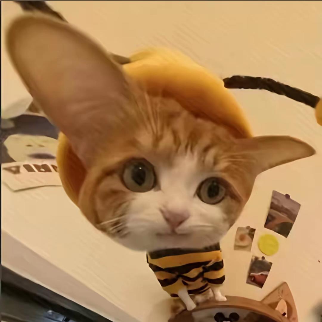 双层芝士蟹黄堡