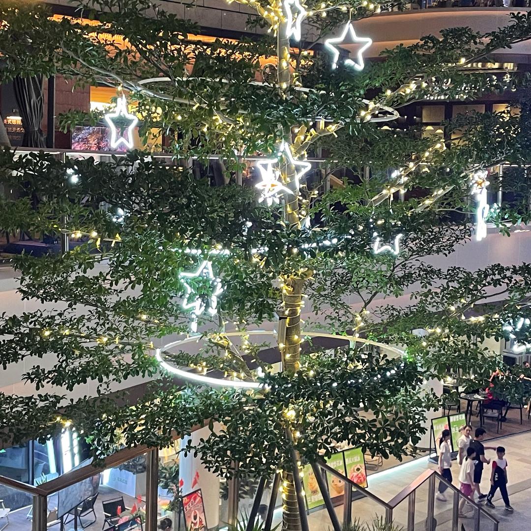 唯美